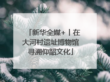 新华全媒+丨在大河村遗址博物馆寻溯仰韶文化